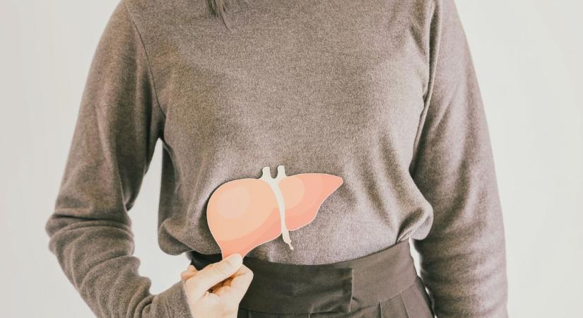 Meglepő felfedezés: ez a hétköznapi ásványi anyag segíthet a zsírmáj leküzdésében