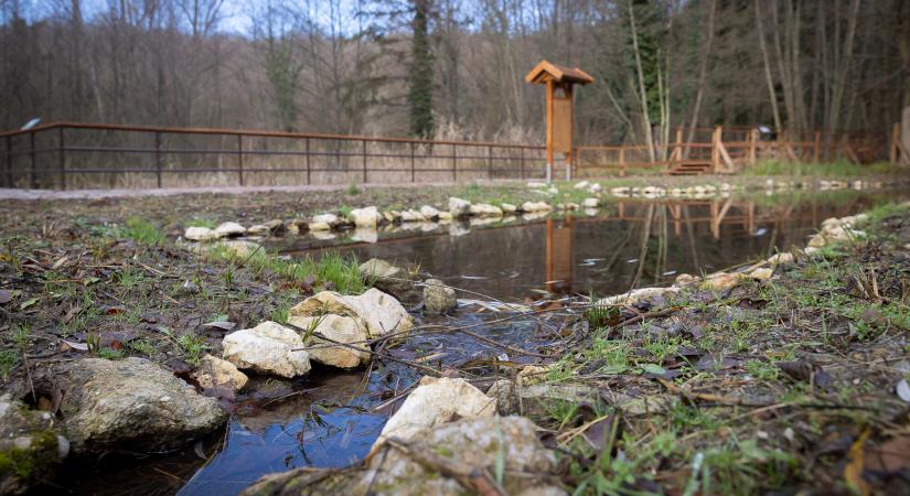 610 millió forintos projekt - fokozottan védett állat egyetlen magyarországi élőhelyét élesztik újjá