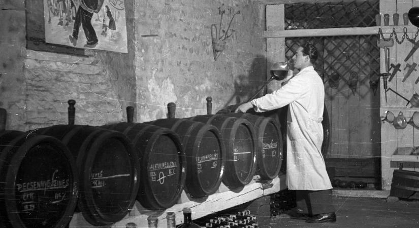 A kocsmáros gatyáját átlukasztották, mire fegyverrel felelt – 140 éves krimi nyomában