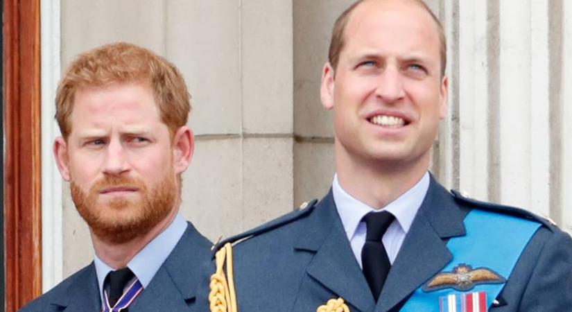 Kínos, ami Vilmosra és Harry-re vár: ekkor találkoznak újra a testvérek