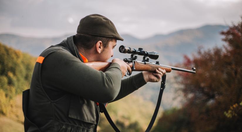 Tájékoztatás terelővadászatról a Felsőtárkányi Erdészet területén – 2025. december 3.