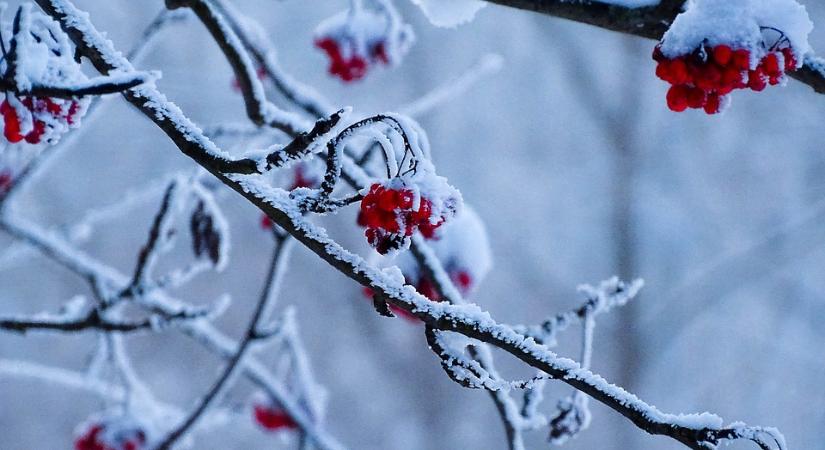 Hol bukkanhatnak fel a NAV revizorai december első napjaiban?