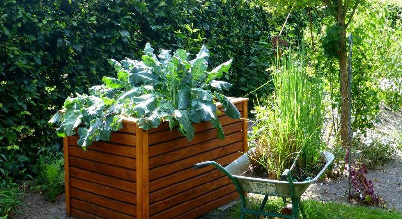 A botanikus kertekre egyre nagyobb szükség van a városokban