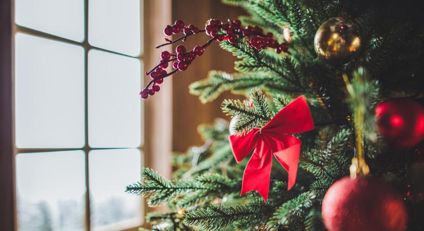 Drágább lesz a karácsony legfontosabb kelléke is