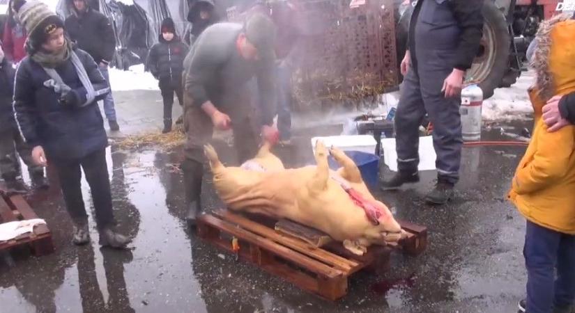 Derecskei Disznótor: 286 milliós fejlesztés