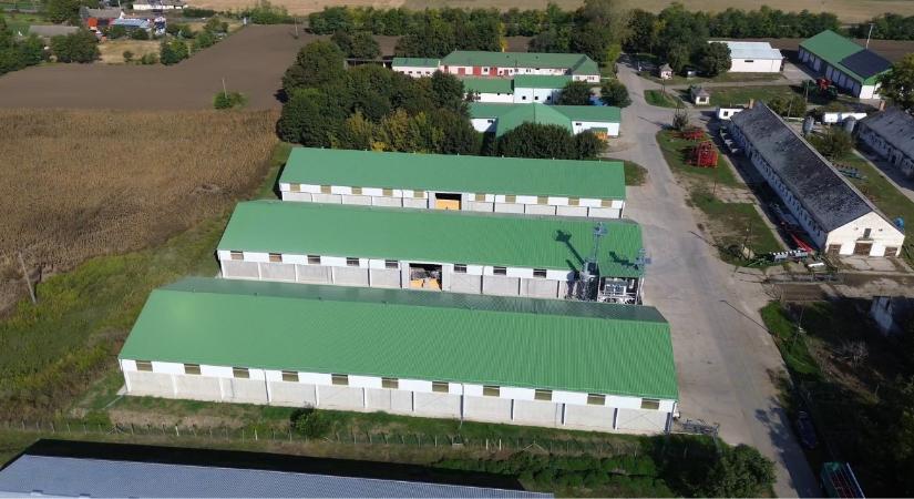 ESG a gyakorlatban: hogyan lesz egy csarnok valódi versenyelőny?