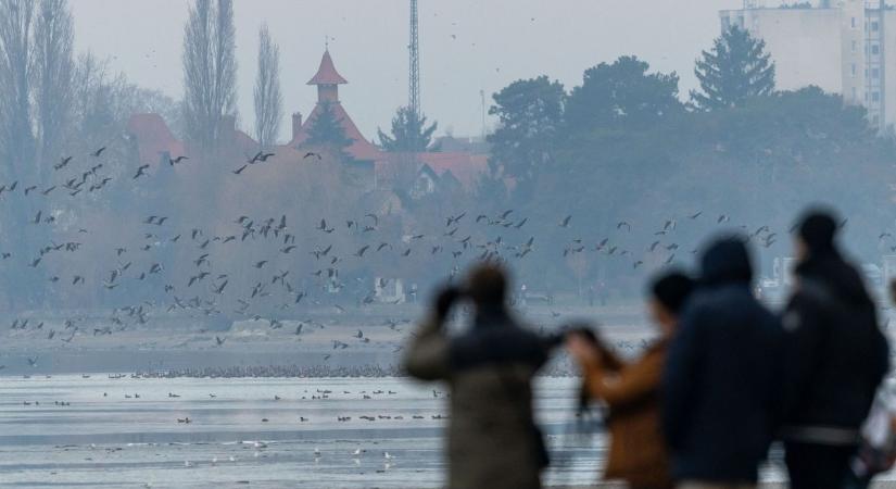 A hétvége legjobb fotói egy helyen