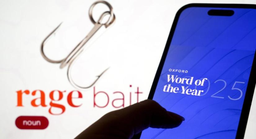 A rage bait lett a 2025-ös év szava