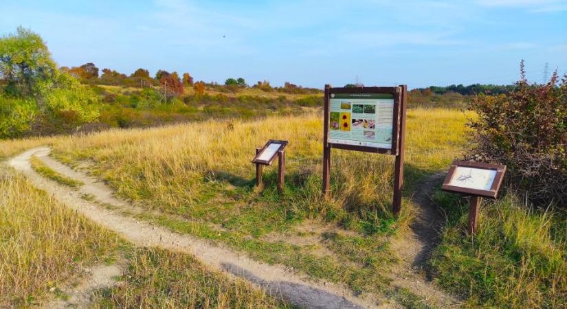 Beszámoló a Tétényi-fennsík LIFE projektterületről tartott lakosfórumról