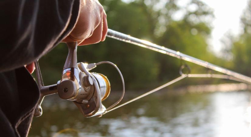 Teljes elviteli tilalom a harcsákra: decembertől tilos hazavinni a Dunán, Tiszán és a Tisza-tavon