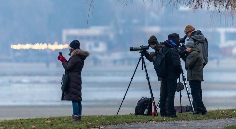 Tata téli szenzációja folytatódik: újabb felejthetetlen programot kínálnak