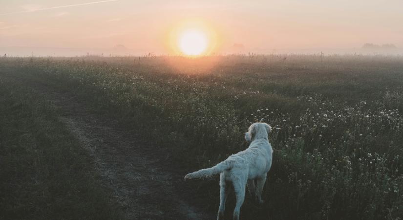 Csak keveseknek jut a napsütésből, te köztük vagy?