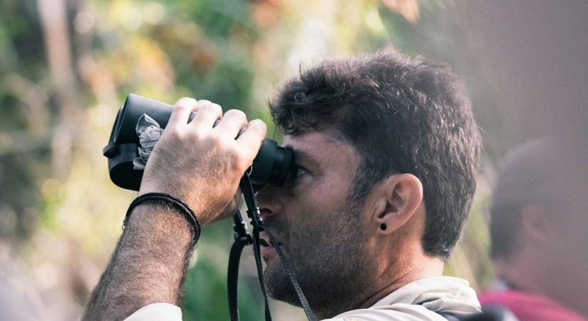 A lakosságot hívja madárszámlálásra a madártani egyesület