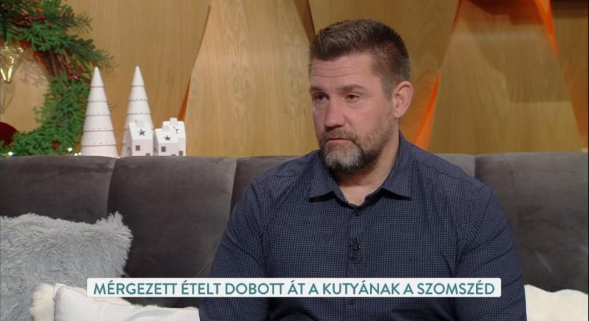 Állatkínzás Szentesen: mérgezett ételt dobott a kutyáknak a szomszéd