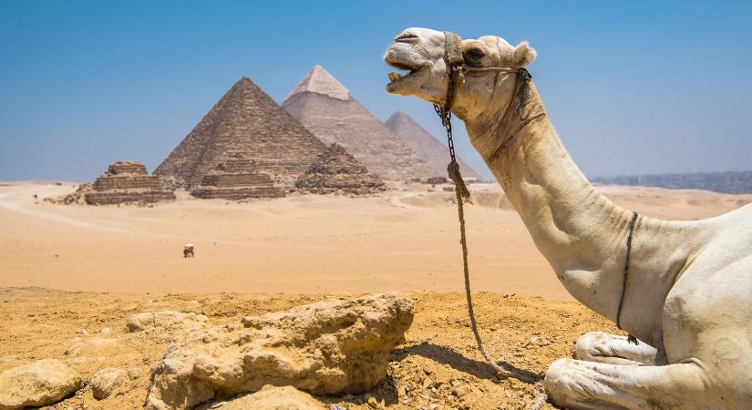 Ők építették az egyiptomi piramisokat, ez felkavaró fordulat, már a tudomány sem ellenkezik, hogy közölje a hírt