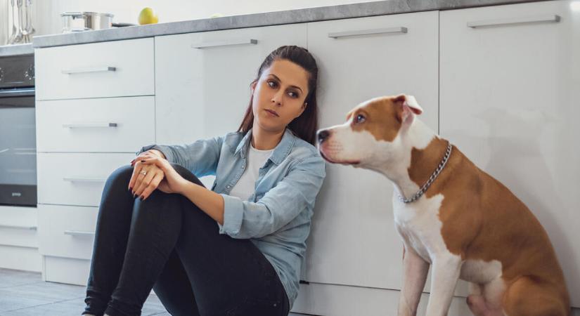 Ezen a Pest megyei településen már januártól kutyaadót kell fizetni