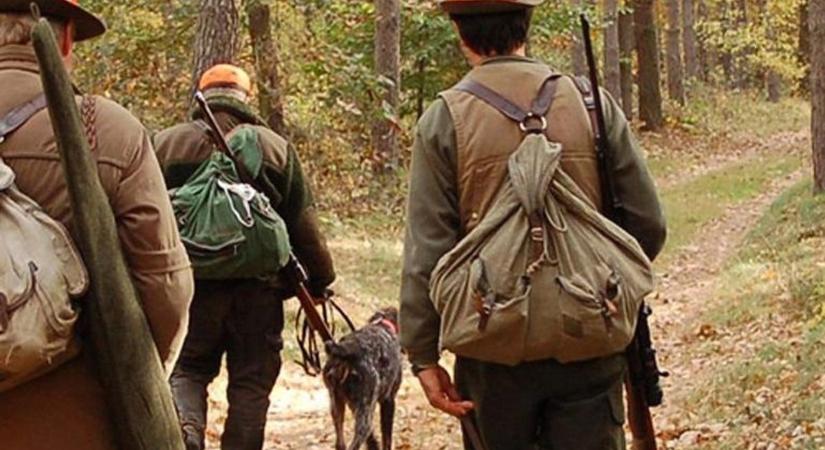 Erdőlátogatási korlátozás lépett életbe Oroszlánynál – fontos figyelmeztetés kirándulóknak