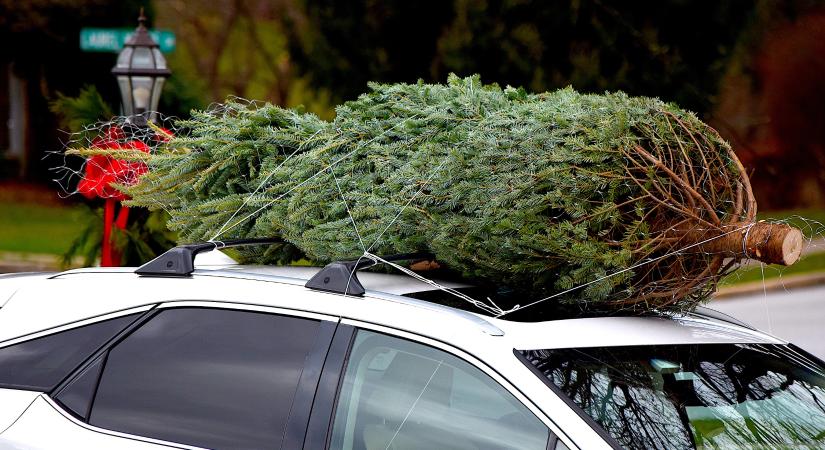 Büntethet a rendőr, ha így viszed a karácsonyfát
