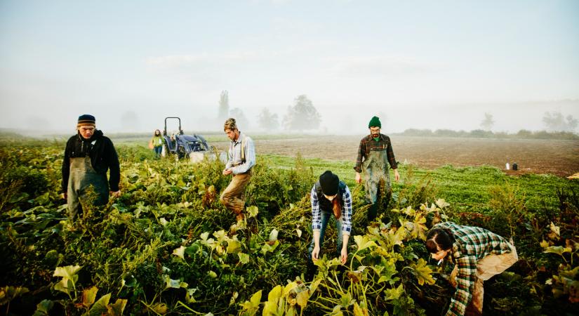 Hová lesz a munkaerő? Több százezren tűntek el Magyarországról