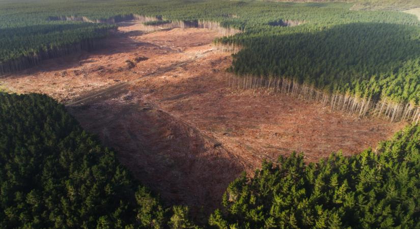 Veszélyben a gazdák bevétele: ez most sokaknak jelent kiesést