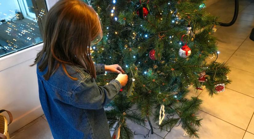 Megnézték, mi rejtőzik a karácsonyfákon — rémisztő, amit találtak