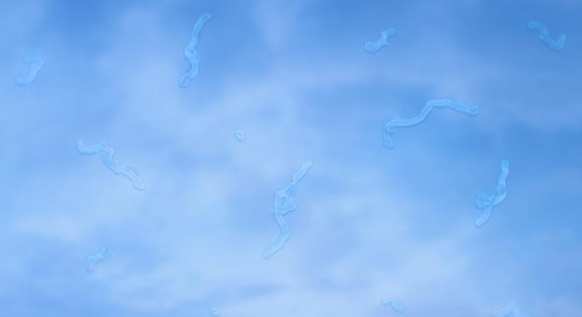 Mik azok az apró, féregszerű struktúrák, amelyek időnként megjelennek a szemünk előtt?