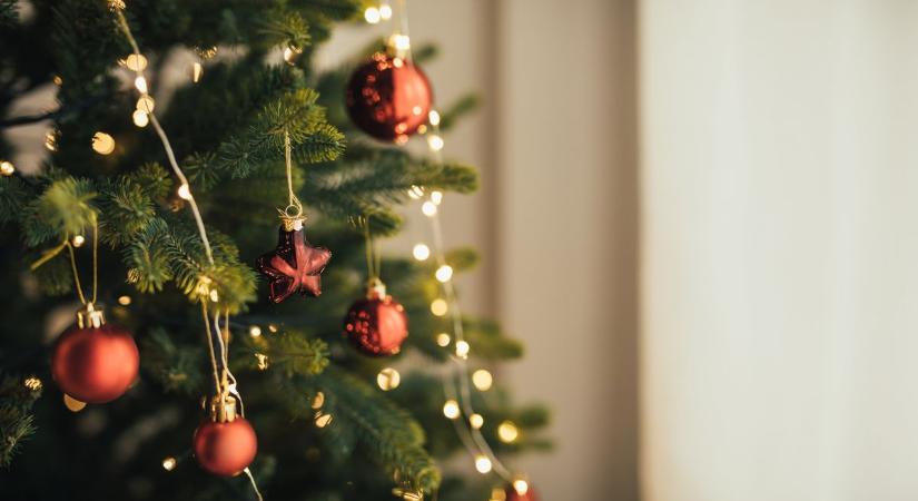 Megvan, melyik fenyőért rajonganak idén a szegediek – ezt viszik a legtöbben