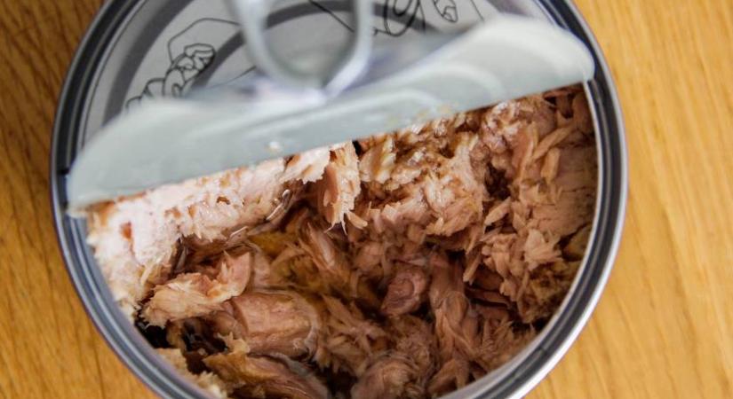 Fertőzött haltermékeket hív vissza a METRO: figyelmeztetést adott ki a Fogyasztóvédelmi Hatóság