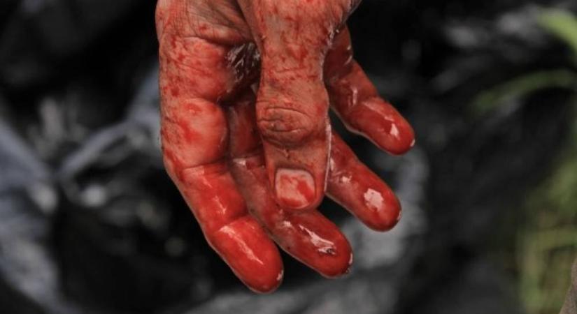 Exists: A Sasquatch, akit azért, valljuk be, még senki sem látott! (kritika)