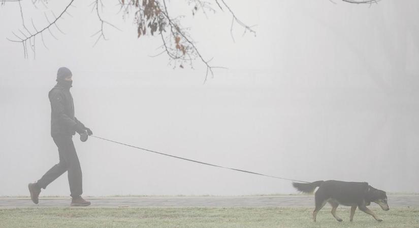 Vigyázat, az orrunkig is alig látunk majd kedden a köd miatt – ez vár ránk Somogyban