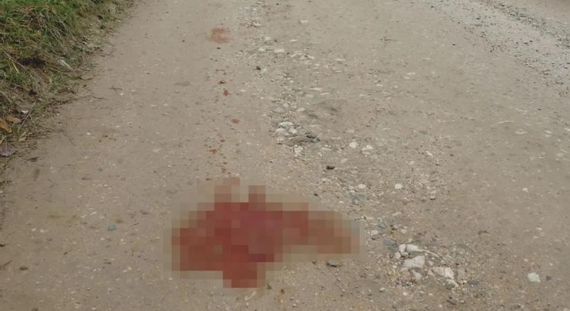 Még mindig ott a vér a miskolci gyilkosság után – képek