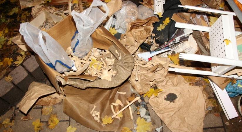 Több doboznyi emberi csontba botlott egy kutyasétáltató a Ferencvárosban