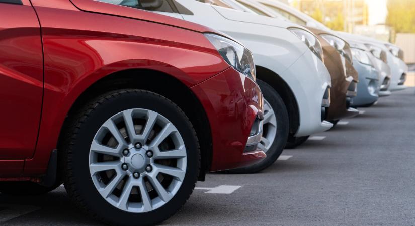 Ha ilyen színű a kocsid, akkor az vonzani fogja a madárürüléket