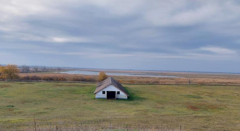 Borult, párás, de enyhe idő várható december első hetében