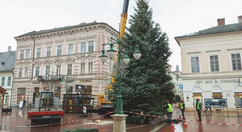 Heves vita tört ki Szeged karácsonyfája körül, ezernyi komment, két tábor, nem tudnak megbékélni a felek