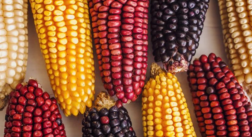 Ön felvenné ezeket az extrém alkalmi ruhadarabokat?