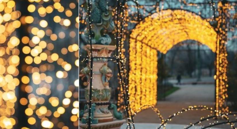 Megnyílt Budapest új adventi szenzációja, fényárban úszik a Városliget - mutatjuk a fantasztikus fotókat