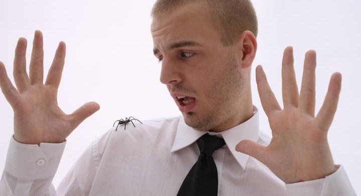 Hogy nevezik, ha valaki fél a pókoktól? Fóbiák kvíze