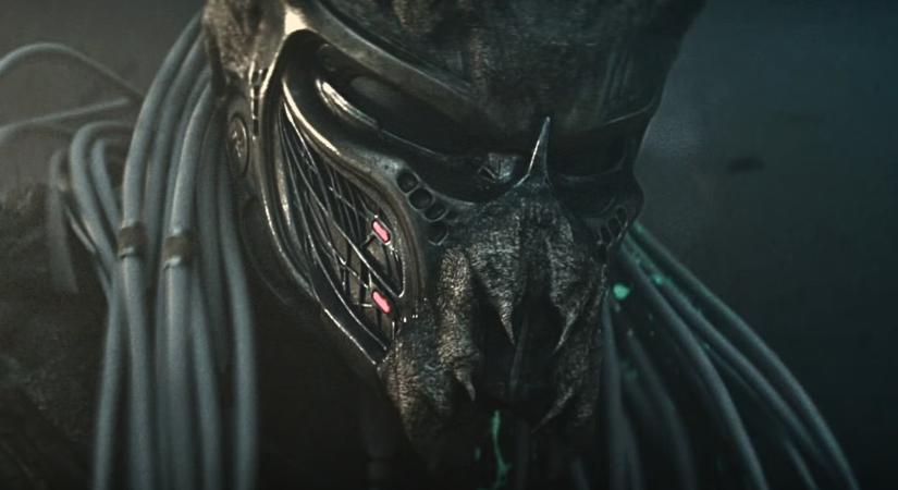 A Predator: Halálbolygó új rekordot állított be az egész franchise-on belül, még az alienes crossovereket is lenyomta a teljesítményével