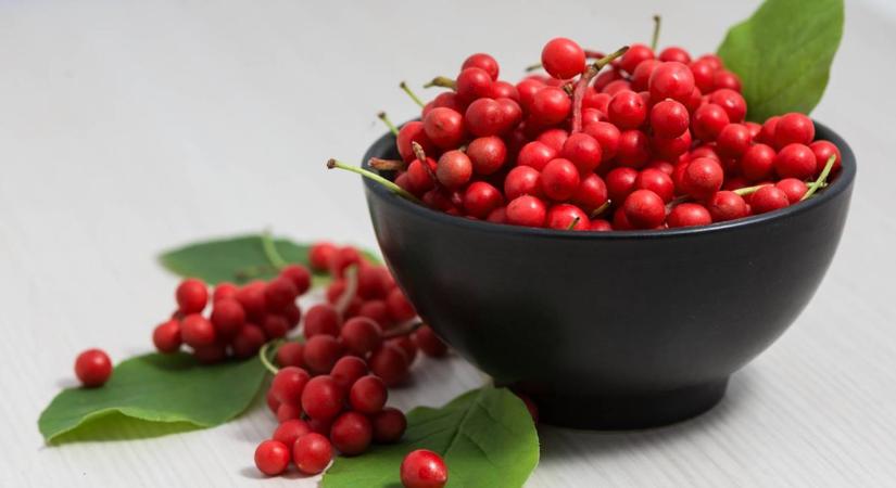 Védi a májat és elősegíti a regenerációját ez az egy növény