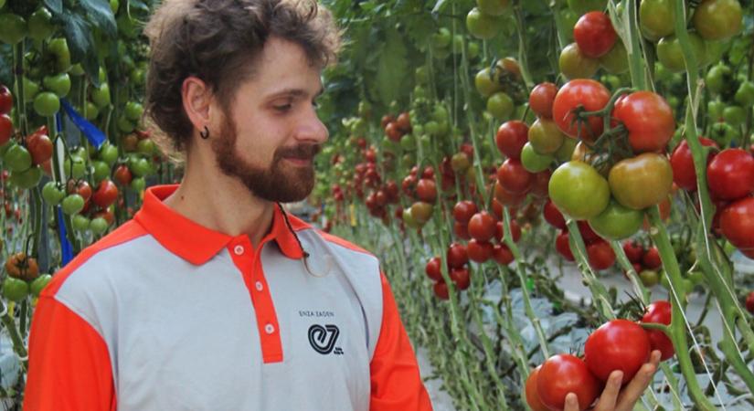 Már ilyen is létezik: itt a jövőbiztos paradicsom!