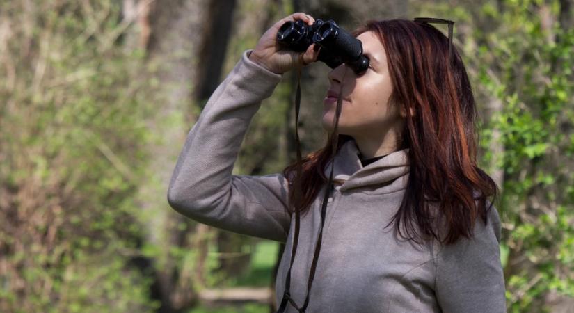 Harmadszor indul országos madárszámlálás: február végéig várják a lakosság adatait