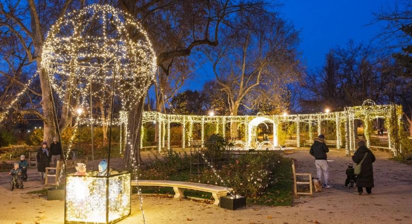 Különleges díszkivilágítást kapott Budapest egyik legszebb parkja