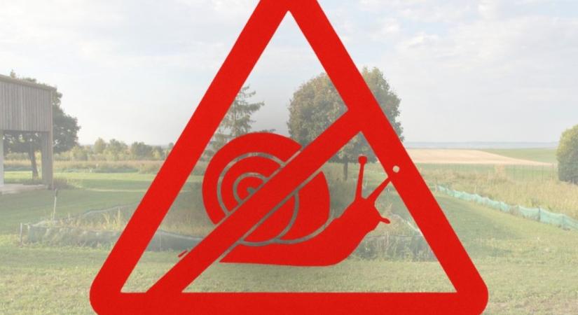 Közel 35 millió forint értékű csigát loptak el egy francia farmról