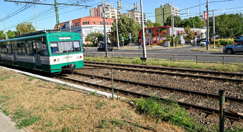 Újból gázolt a HÉV