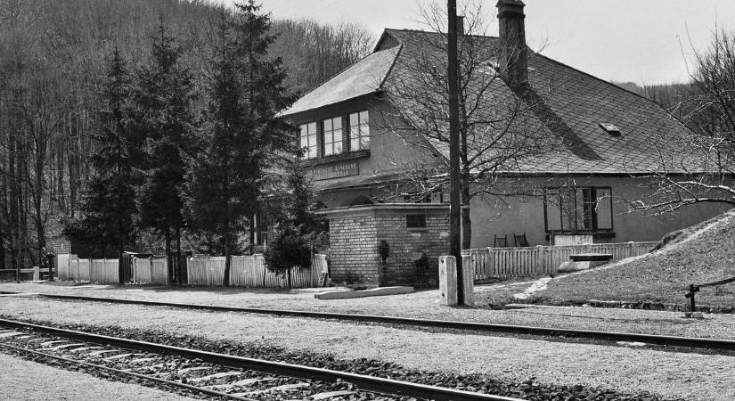 Ilyen volt, ilyen lett a világ vége utáni vasútállomás, a túrázók bakonyi kedvence ( fotók)