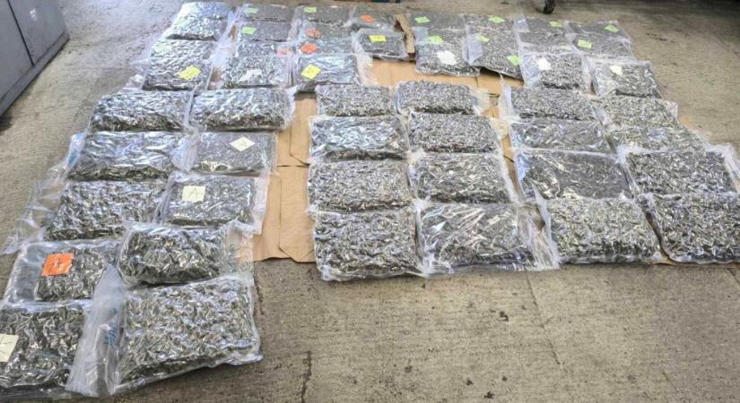 Fél mázsa füvet próbáltak átcsempészni a határon