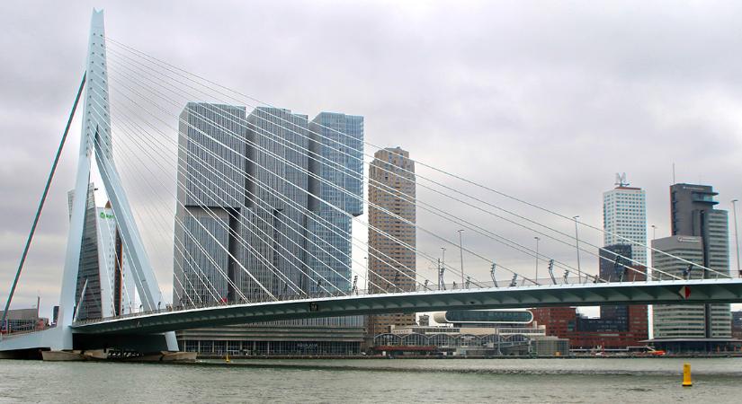 Húsz évi börtönbüntetést kér az holland ügyészség a rotterdami késelés elkövetőjére