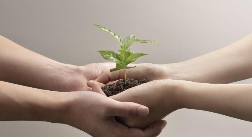 Napi horoszkóp 2025. 12. 02.: Stabilizáló kedd