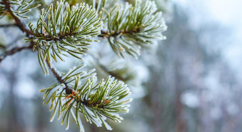 Időjárás december 2.: Egyre hidegebbek a nappalok is